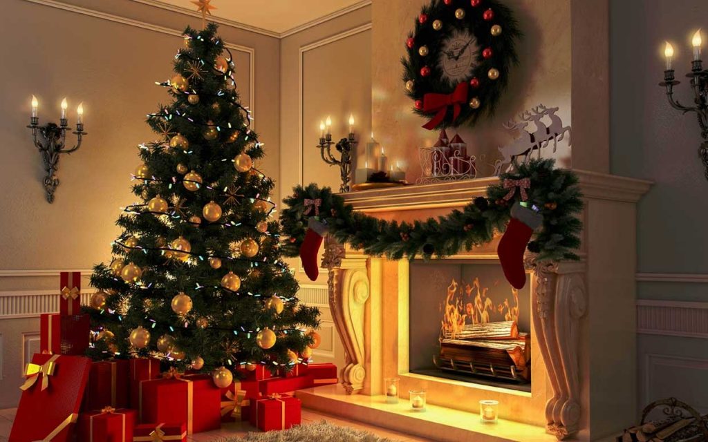 Make your pine tree ready in Christmas with these expert tips